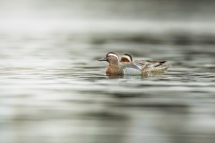 260414_lezczok-1