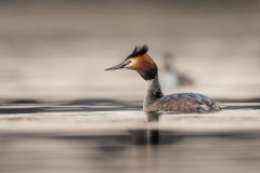 260414_lezczok-5