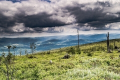 Widok na Beskid Żywiecki