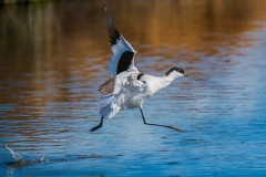 20260224_camac_-2920