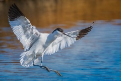 20260224_camac_-3316