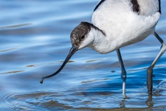 20260224_camac_-5585