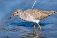 20260224_camac_-5768