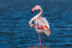 20260223_camac_-2405