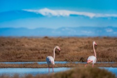 20260223_camac_-3495