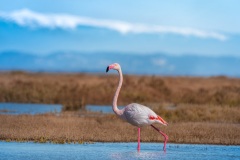 20260223_camac_-4609