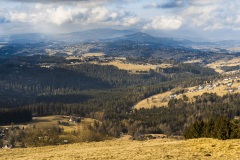 20260302_ochodzita-2