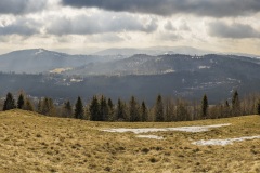 20260302_ochodzita-4