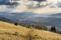 20260302_ochodzita-5